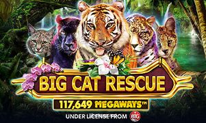 Imagem do jogo Big Cat Rescue Megaways da jjjbet